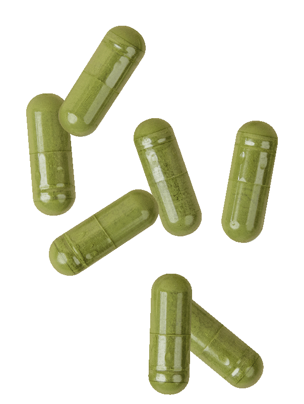 Matcha capsules